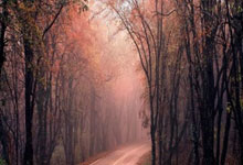 必发体育：香港首辦壁球團體世錦賽　港男女子隊挑戰強敵：展示不退縮的精神.