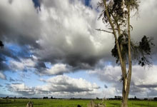 必发体育：25年忠诚之旅画句号？拜仁35岁老将或今夏离队 2原因致分道扬镳.