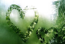 必发体育：杨瀚森NBA稳了？美媒盛赞杨瀚森,称其或许会成为未来的全明..