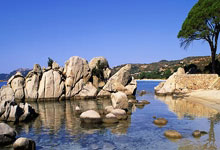 必发体育：蓝鹰主帅：阿瑙进球德弗里越位？遗憾进球没被分析，但不想说什么.